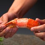 ズワイガニのかに爪(スリット入)1kg 冷凍便