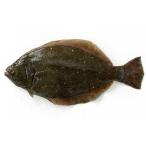  натуральный ложный палтус 1 хвост (1.5-2Kg передний и задний (до и после) размер ) местного производства рефрижератор рейс 