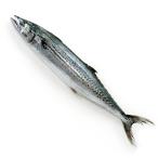  натуральный ...1 хвост (2-3Kg передний и задний (до и после) размер ) местного производства рефрижератор рейс 