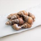  белый ..1kg рефрижератор рейс 