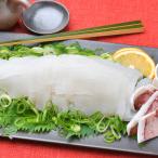 yali кальмар 2 кубок рефрижератор рейс ( рефрижератор рейс возможно )