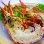  Исэ город море .. terumi кукла 1 хвост ( половина десятая часть 2 шт ) рефрижератор рейс 