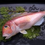  красный . морской лещ 1 хвост ( жарение *. установка для ) рефрижератор рейс 