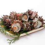 ....1kg рефрижератор рейс 