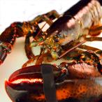 . омар море .1 хвост (1Kg передний и задний (до и после) размер ) America * Canada производство рефрижератор рейс 