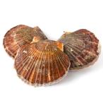 殻付き活ホタテ3枚 冷蔵便