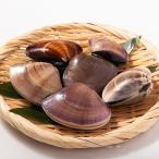 .. ...500g рефрижератор рейс 