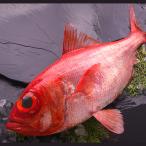  металлы глаз морской лещ 1 хвост (1-1.3Kg размер ) рефрижератор рейс 