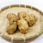 topi наан b-ru(. клубень )500g рефрижератор рейс 