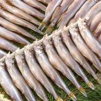 книга@.... женский ( Hokkaido производство )30 хвост рефрижератор рейс 