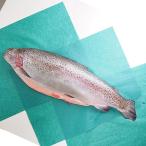 tas любитель Ocean форель semi платье примерно 3.5kg рефрижератор рейс 