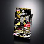 IPF 505N LEDハイパワーナンバー T10 250LM 2個入 使いやすい純正球同等サイズ