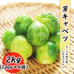 芽キャベツ 冷凍 野菜 2kg (500g×4袋) 