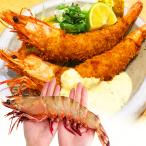  купон . максимальный 15,000 иен OFF супер супер очень большой размер натуральный иметь голова море .6 хвост примерно 216g/ хвост примерно 30cm натуральный si- Tiger ST натуральный море . креветка рефрижератор рейс Pro любимый 1.3kg