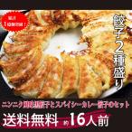 黒餃子48個 カレー餃子48個  ぎょうざ 餃子 冷凍餃子  惣菜 点心 お取り寄せ グルメ ご家庭料理 ギフト 敬老の日