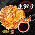 30％offクーポン配布中 送料無料 48個 生餃子 白菜入り にんにく抜き 大きいサイズ 冷凍餃子 業務用冷凍商品  ぎょうざ ギョウザ 子供  ギフト中華