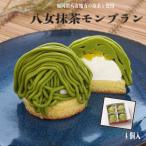 五洋食品 GOYO 冷凍 八女抹茶モンブラン （4個入）くり 八女抹茶 抹茶「八女抹茶モンブラン 」 SC