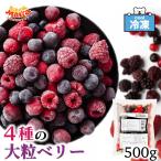  рефрижератор Mix Berry 4 вид. плоды тропический Мали a рефрижератор Berry 500g для бизнеса рефрижератор фрукты голубика laz Berry BlackBerry клубника [MIX Berry ] SC