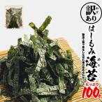 訳あり 国産 海苔 切れ端 100g 高品質