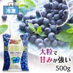 冷凍ブルーベリー ノースイ VeryBerry 大容量 カナダ産 ブルーベリー 業務用 500g 冷凍 ベリー スイーツ 冷凍フルーツ SC 「冷凍ブルーベリー」