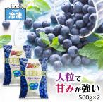 「 冷凍ブルーベリー 」 ノースイ VeryBerry ブルーベリー 業務用 1kg (500g×2) 冷凍 スイーツ 冷凍フルーツ SC