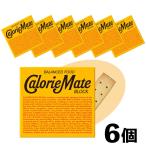 カロリーメイト ブロック チーズ 80g×6箱 セット まとめ買い ヘルシー チーズ味 バランス 栄養食 エネルギー補給 菓子 ダイエット 「カロリーメイトチーズ」 JC