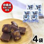 沖縄の塩黒糖 個包装 400g (100g×4) しお黒糖黒糖本舗 垣乃花 【沖縄産原料100%使用】 熱中症 対策 しお 子供 沖縄 サトウキビ お菓子 塩分補給 「塩黒糖」 JC