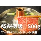 [A5A4 и т.п. класс. Hakata мир корова . доставляется!] филе ...... для (500g)~ корова ... . человек . передний магазин ~