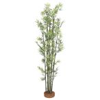 タカショー 人工観葉植物 青竹7本立 鉢無1.5m GD-54S 1個（直送品）