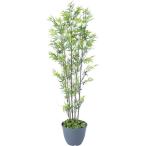 タカショー 人工観葉植物 黒竹 5本立 1.5m（直送品）