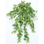 タカショー 人工観葉植物 ポトスブッシュ ハンギング 50cm 1セット（2本入 ）（直送品）