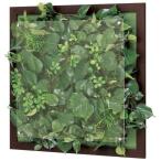 ベルク インテリアデコ WALL GREEN　GR3347 1台　（直送品）