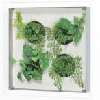 ベルク インテリアデコ GREEN GR3440 1台　（直送品）