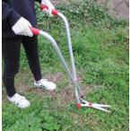 ファミリー・ライフ 芝生●雑草用刈込バサミセット　a22470 1セット（直送品）