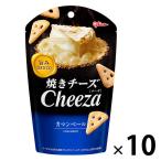 江崎グリコ　チーザ＜カマンベール＞