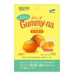 グミーナ メンタルケア 機能性表示食品