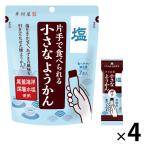 井村屋 片手で食べられる小さなようかん 塩