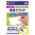 デルガード傷あてパッド 2Lサイズ