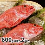 きんき 2尾 大サイズ (600g ×2) キンキ お取り寄せ グルメ 冷凍 全国送料無料