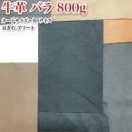 レザークラフト 本革 �