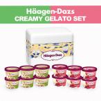 ハーゲンダッツ アイスクリーム クリーミージェラート12個セット