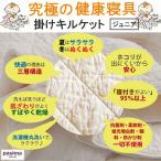 パシーマキルトケット（掛け用） ジュニア（小さめ）サイズ 掛キルトシーツ 両面表：綿100％ 洗濯可 安全性国際規格クリア