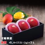 マンゴー みやざき完熟マンゴー 赤秀 4Lサイズ 500g以上×3玉 宮崎県産 JA宮崎経済連 ギフト お取り寄せグルメ ■□