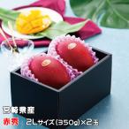 マンゴー みやざき完熟マンゴー 赤秀 2Lサイズ 350g以上×2玉 宮崎県産 JA宮崎経済連 ギフト お取り寄せグルメ ■□