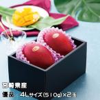 マンゴー みやざき完熟マンゴー 優品 4Lサイズ 500g以上×2玉 宮崎県産 ギフト お取り寄せグルメ ■□