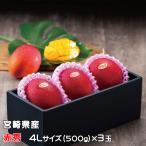 マンゴー みやざき完熟マンゴー 赤秀 4Lサイズ 500g以上×3玉 宮崎県産 JA宮崎経済連 ギフト お取り寄せグルメ