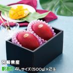 マンゴー みやざき完熟マンゴー 風のいたずら 訳あり 4Lサイズ×2玉 宮崎県産 ギフト お取り寄せグルメ