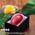 マンゴー みやざき完熟マンゴー 風のいたずら 訳あり 5Lサイズ×1玉 宮崎県産 ギフト お取り寄せグルメ