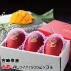 マンゴー 太陽のタマゴ 赤秀 4L 500g以上×3玉 JA宮崎経済連 宮崎県産 完熟マンゴー 太陽のたまご ギフト お取り寄せグルメ