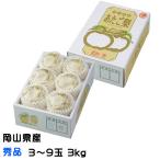  подарок по случаю конца года груша ... груша превосходящий товар 3~9 шар 3kg Okayama префектура производство JA.... love . груша нет нет подарок 